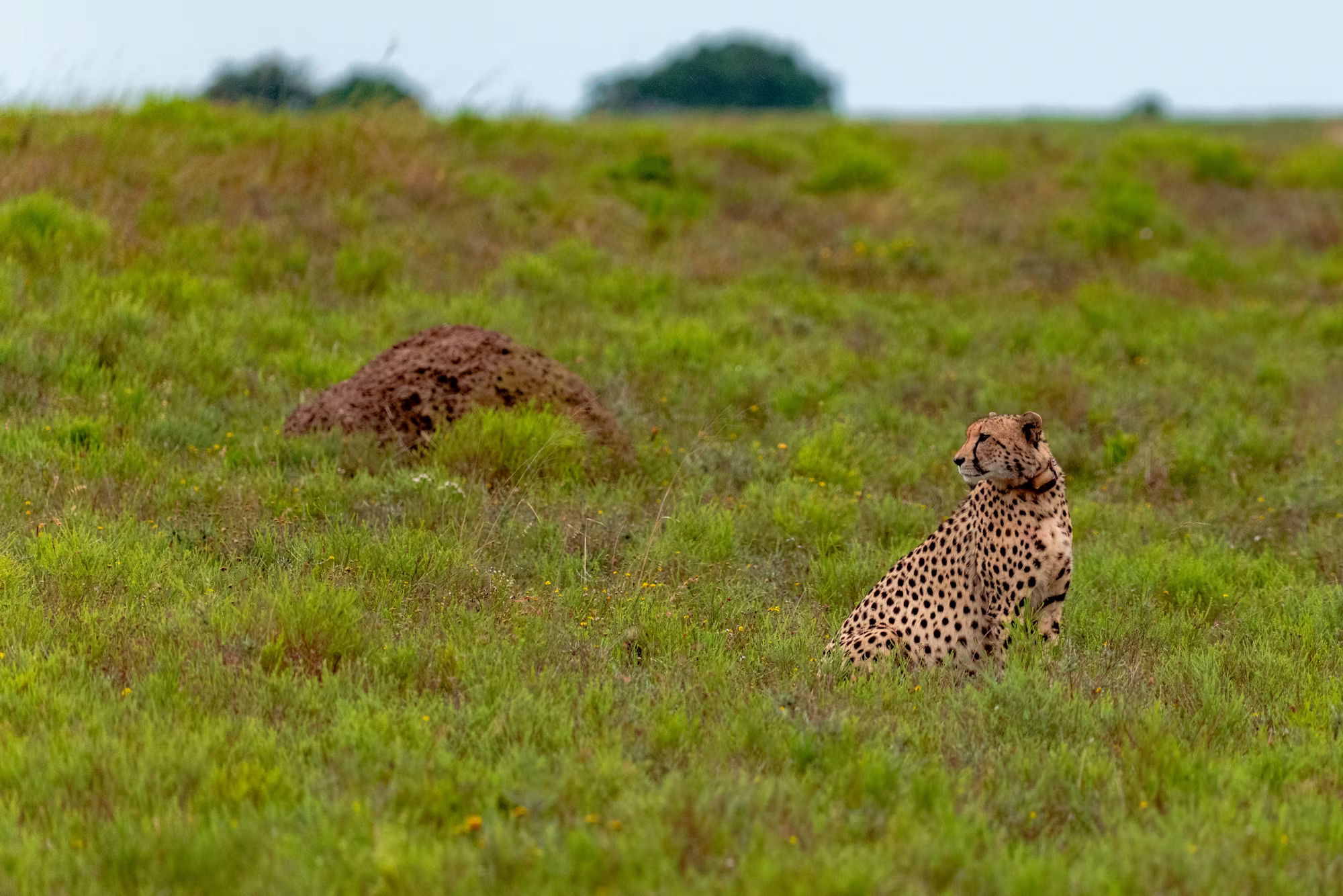 The Evolution of Game Design: From Concept to Creation